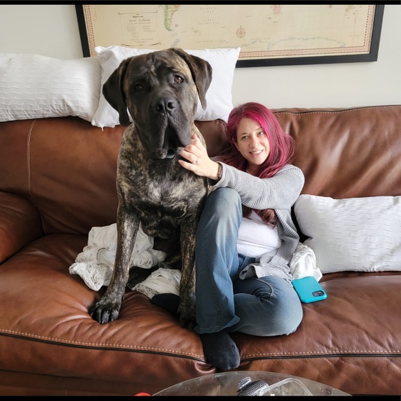 I am a Toronto shopper and seller, I am a size 2, Selling sizes four and six. - Picture 1 of 1